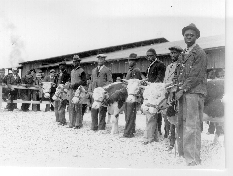 Augusta Stock Show