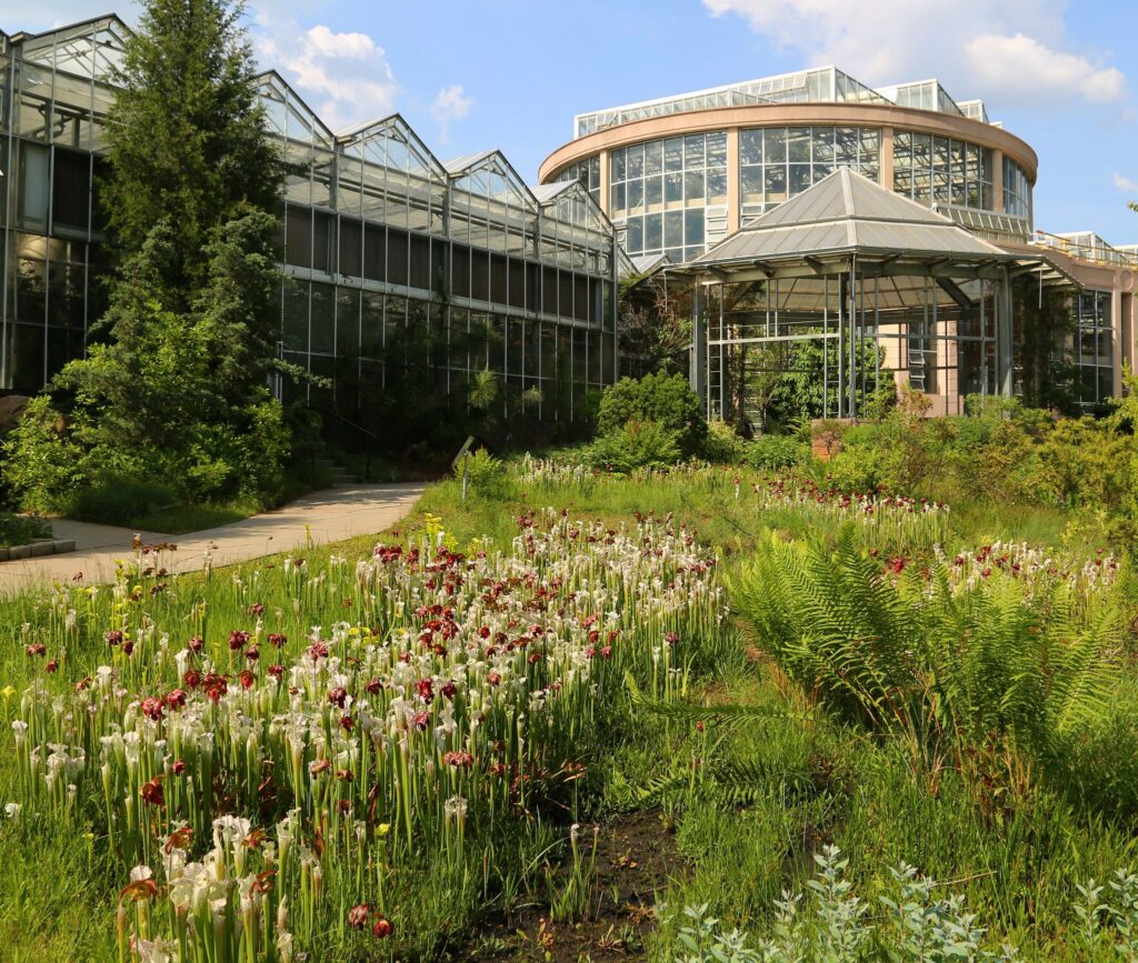 Atlanta Botanical Garden