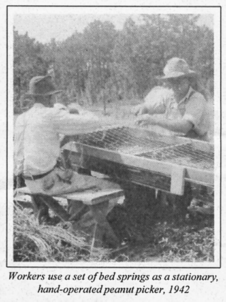 Bedspring Peanut Pickers