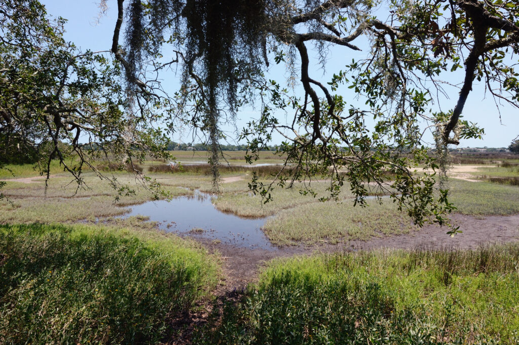 Bloody Marsh