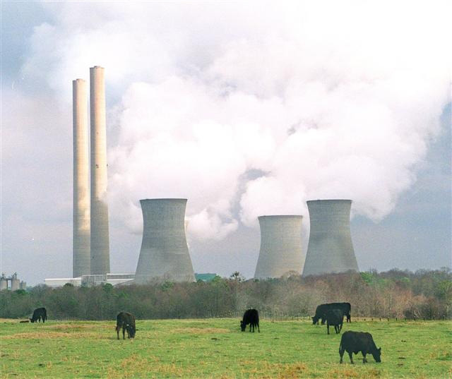 Bowen Power Plant