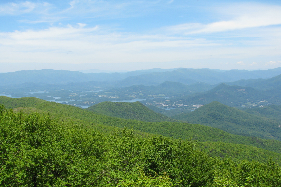 Brasstown Bald