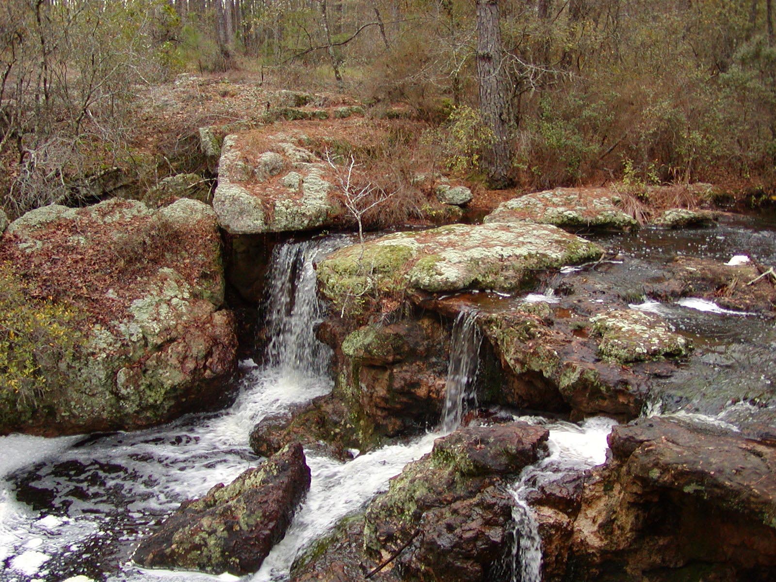 Coffee County New Encyclopedia