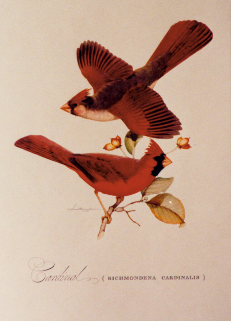 Cardinals