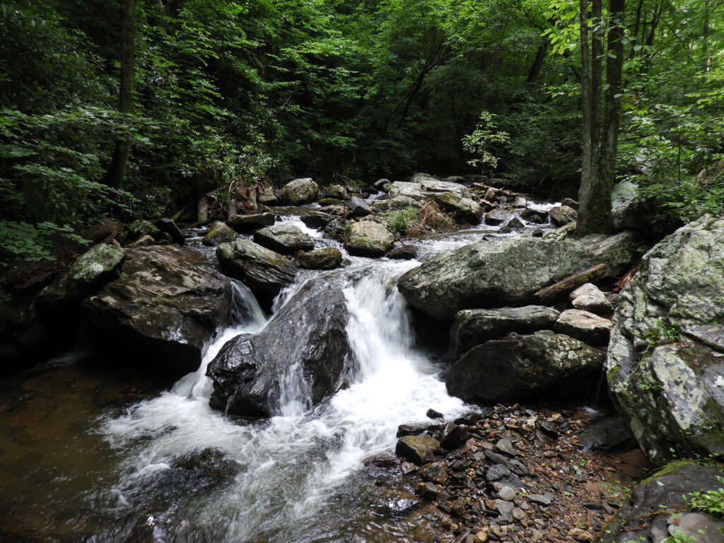 Chattahoochee National Forest