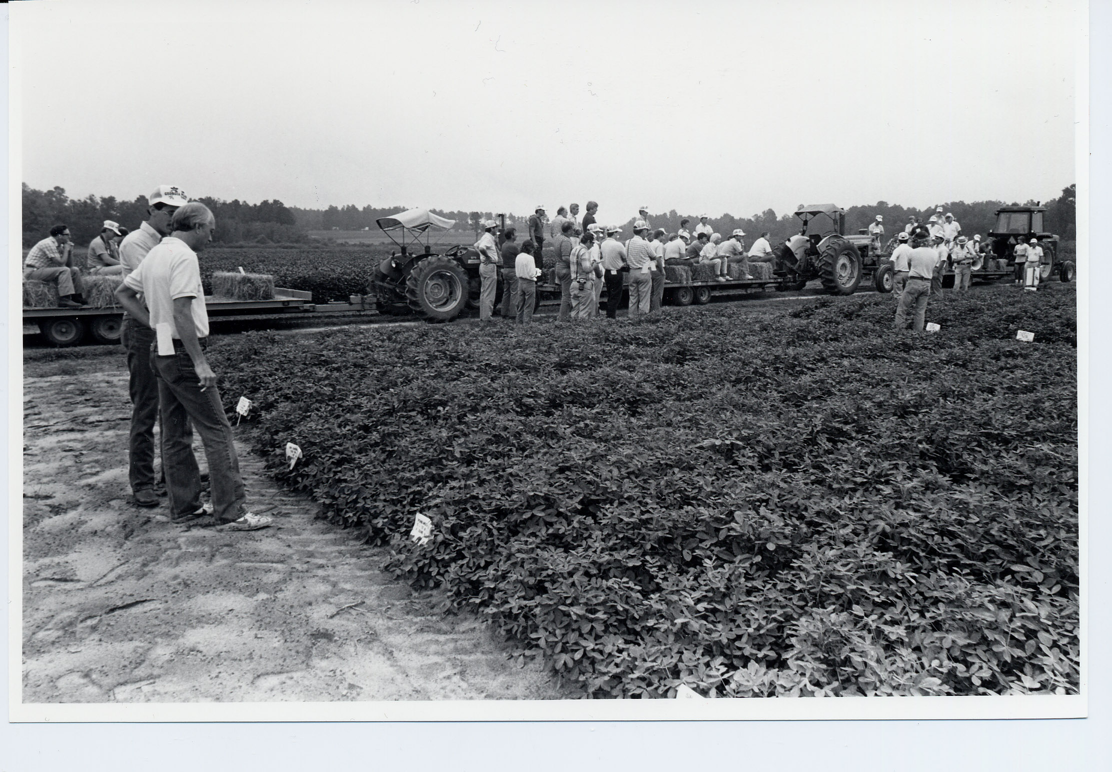 University of Tifton Campus New Encyclopedia
