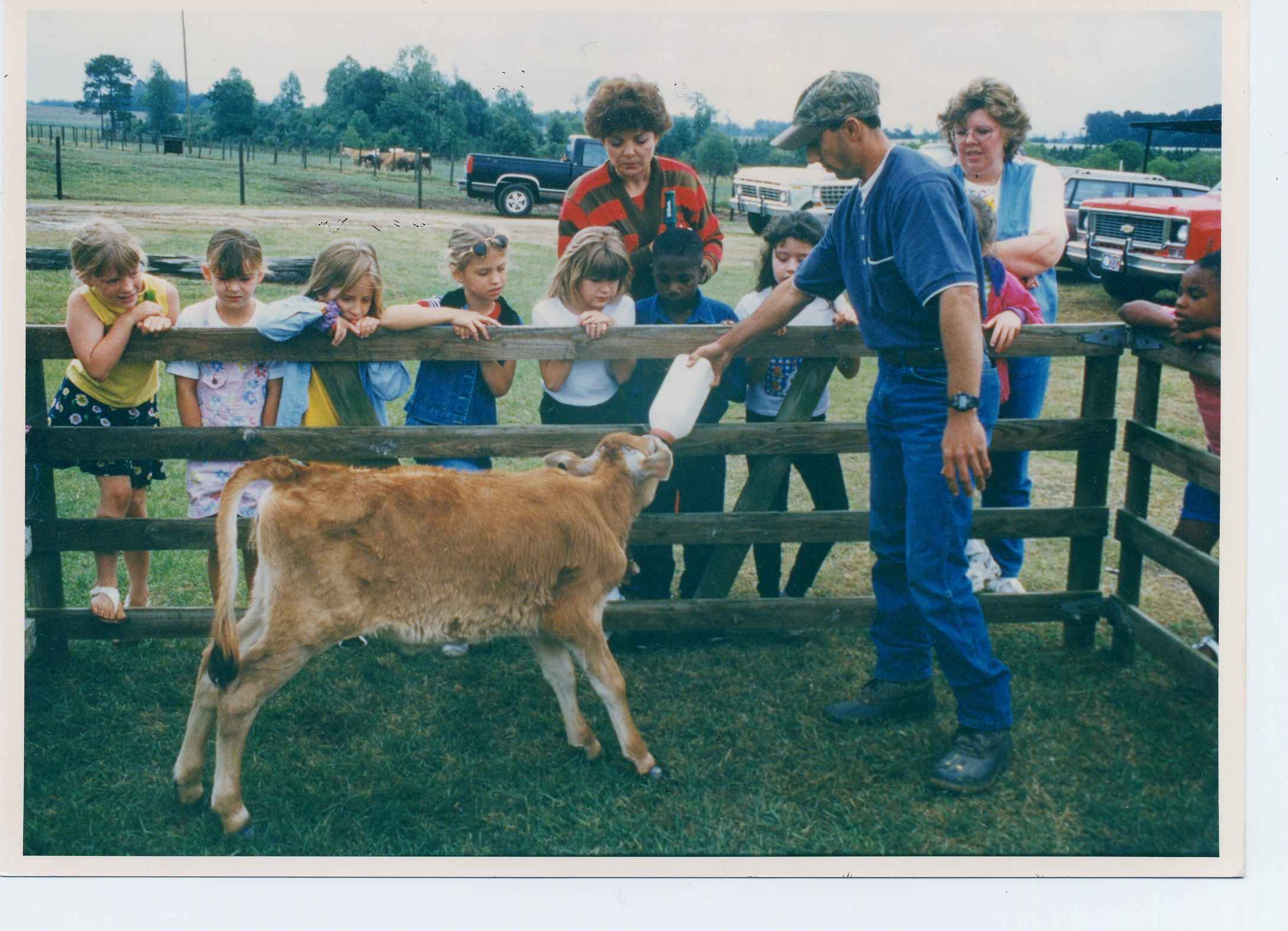 Calf Feeding New Encyclopedia