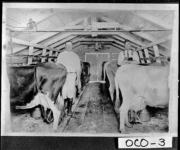 Cobb Dairy