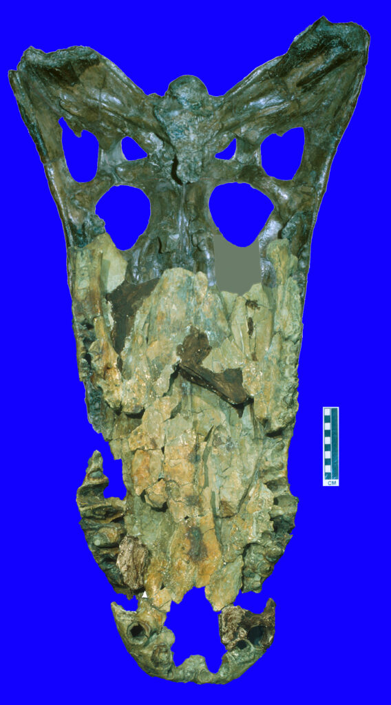 Giant Crocodylian