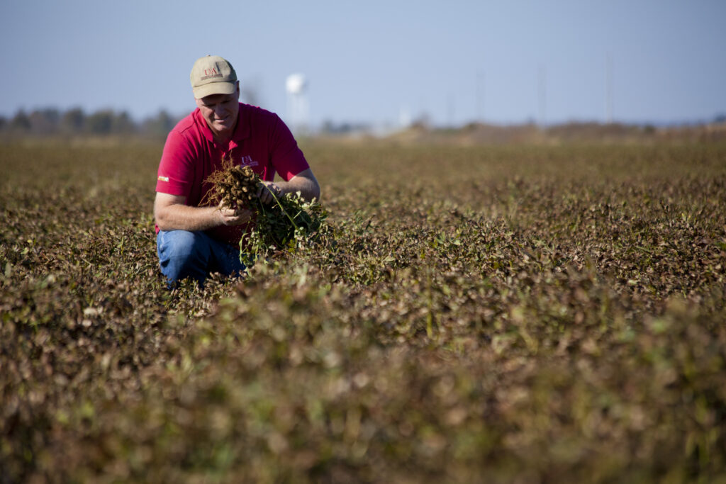 Peanut Farmer