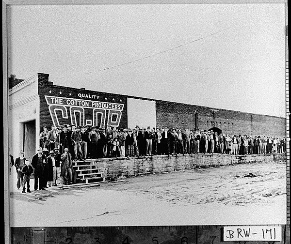 Farmers Mutual Exchange