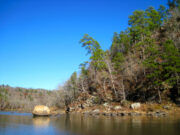 The Flint River