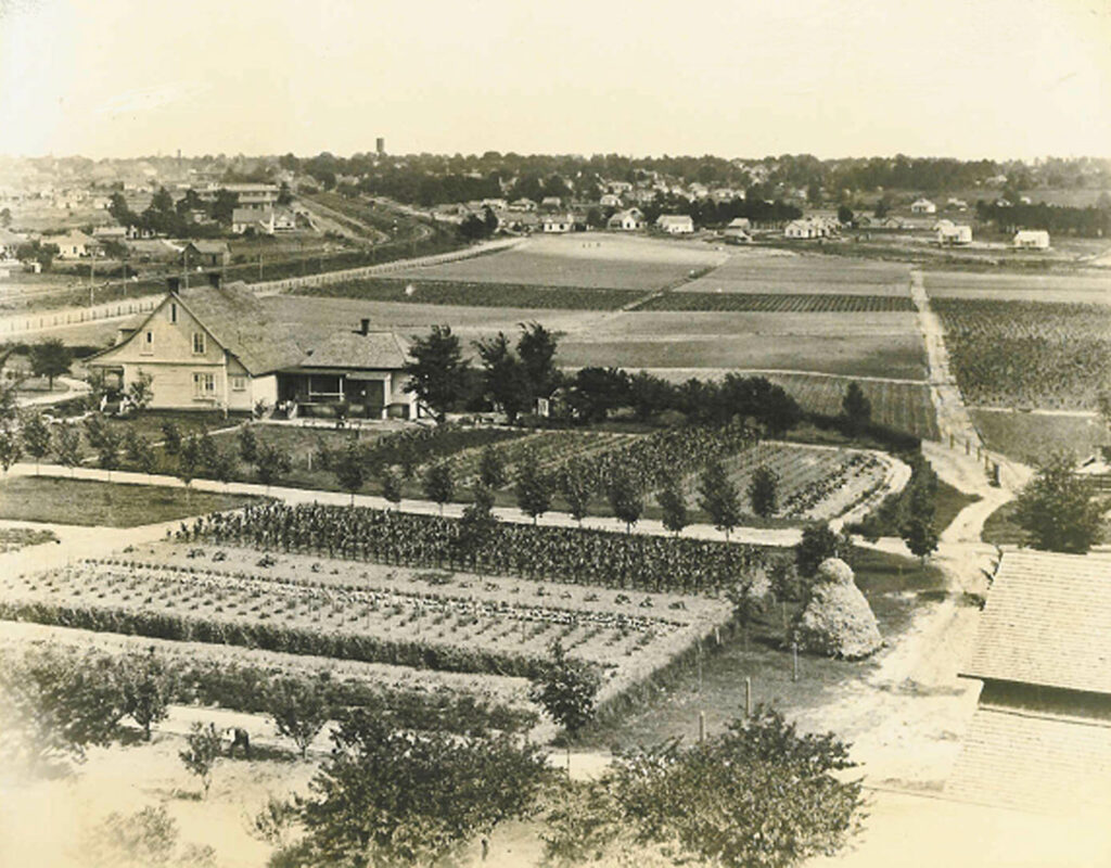 Georgia Experiment Station