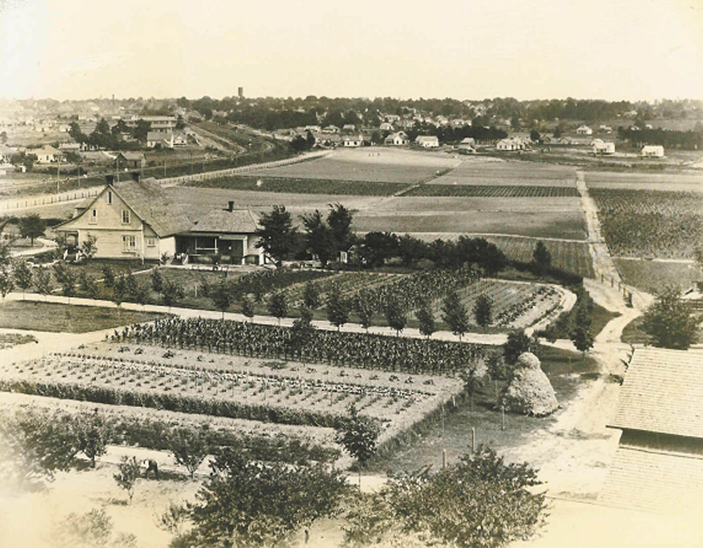 Experiment Station New Encyclopedia