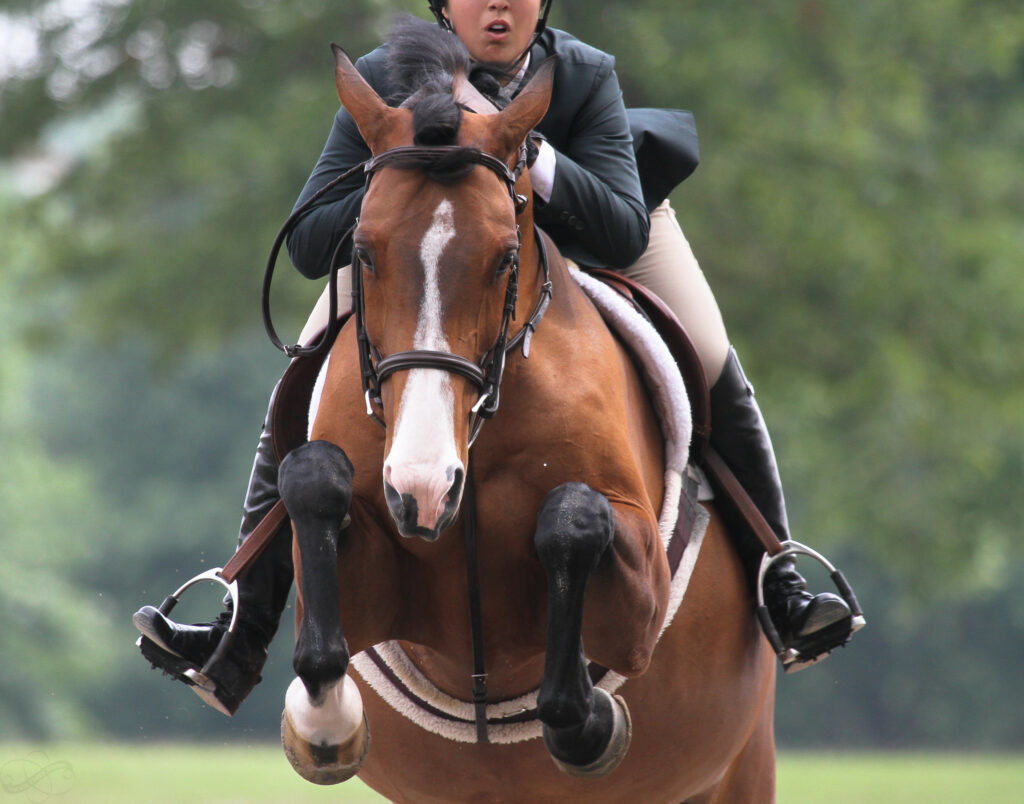 Georgia International Horse Park
