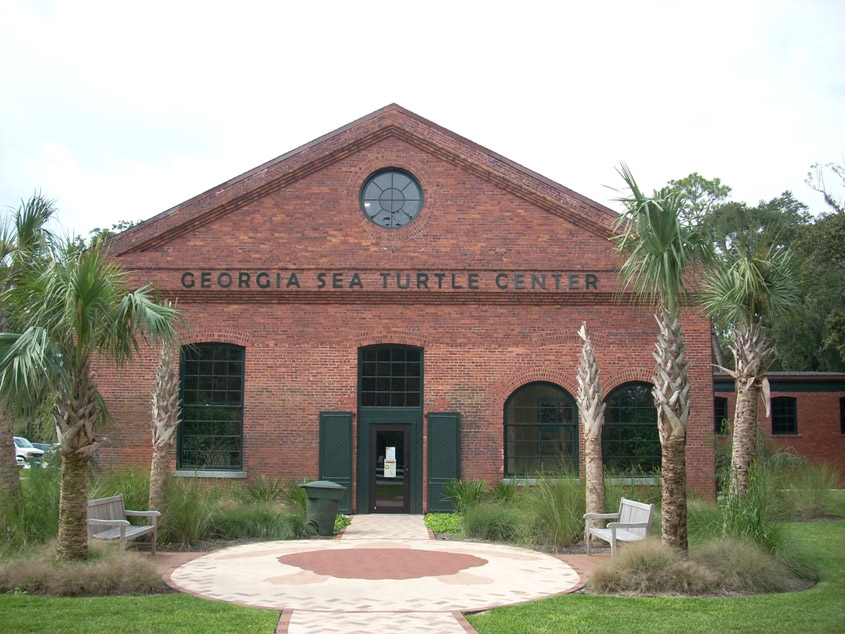 Georgia Sea Turtle Center