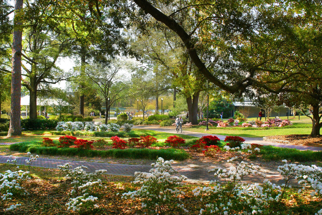 Georgia Southern University
