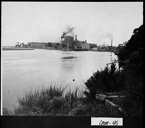 Gilman Paper Company
