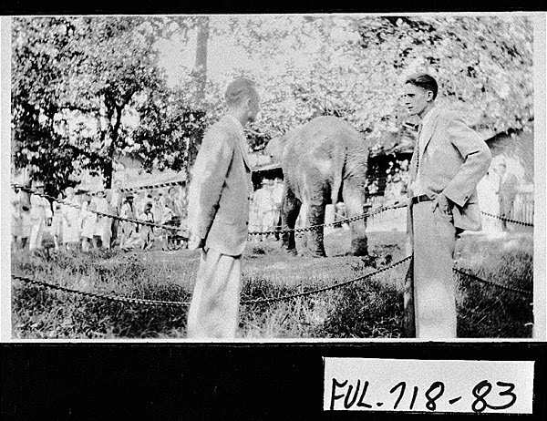 Grant Park Zoo