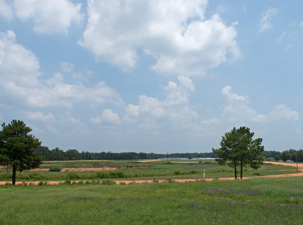 Harness Horse Racing Track