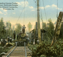 Hebard Cypress Mills