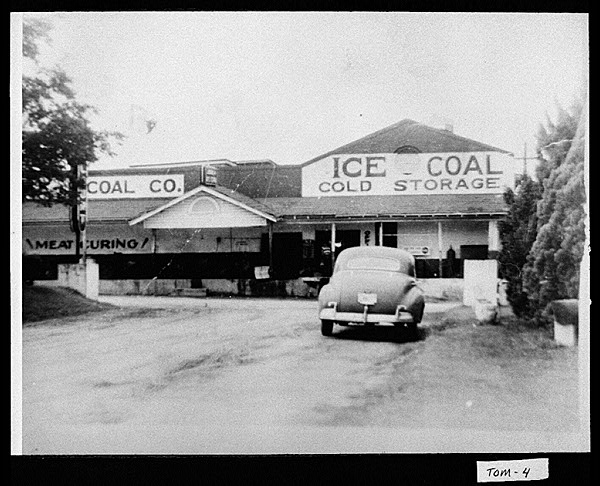 Ice Plant
