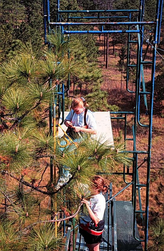 Jones Center Access Tower