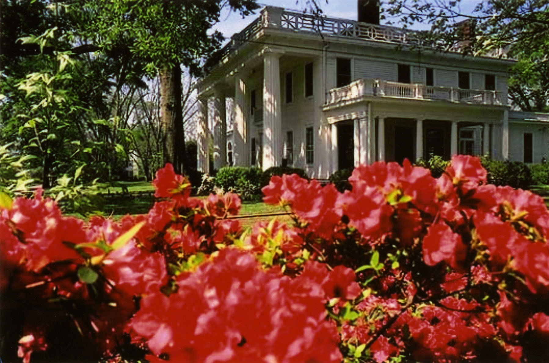 Madison - New Georgia Encyclopedia