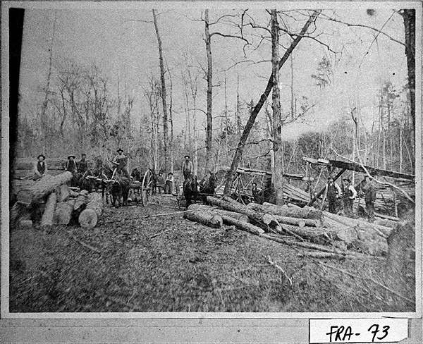 Logging Camp, Franklin County