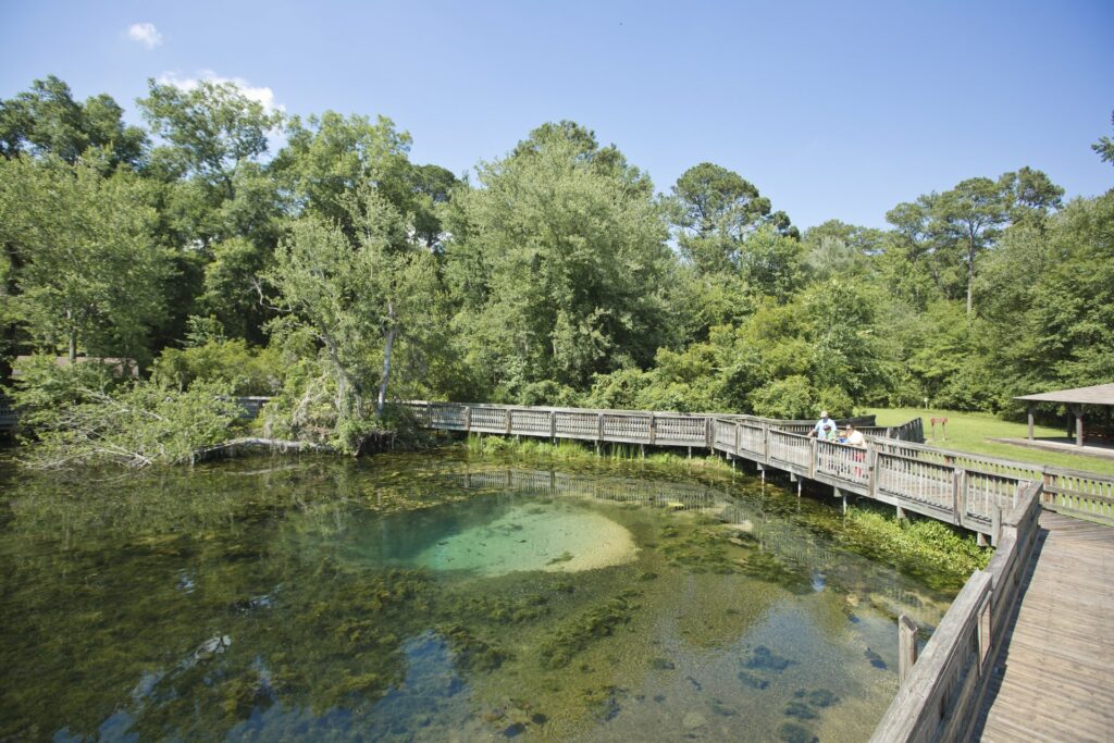 Magnolia Springs State Park