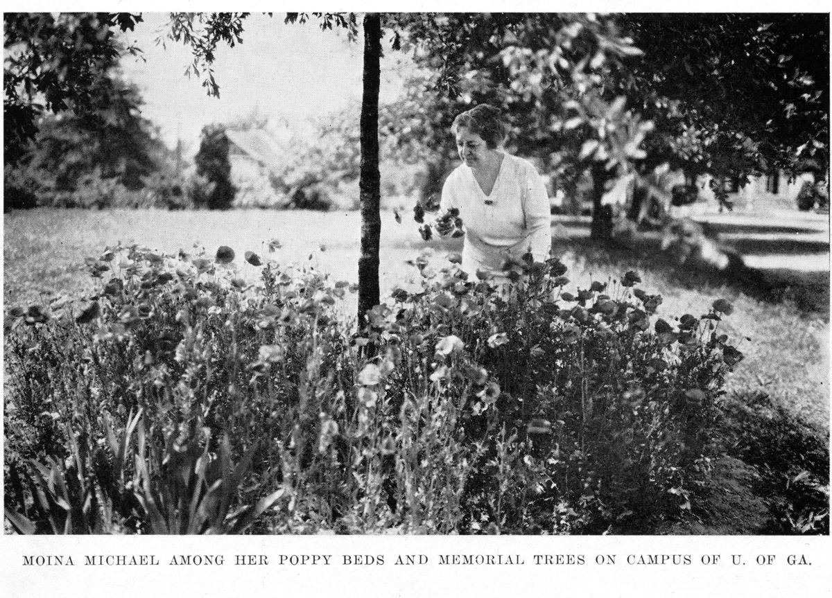 Moina Michael plants Poppies on the University of Georgia campus