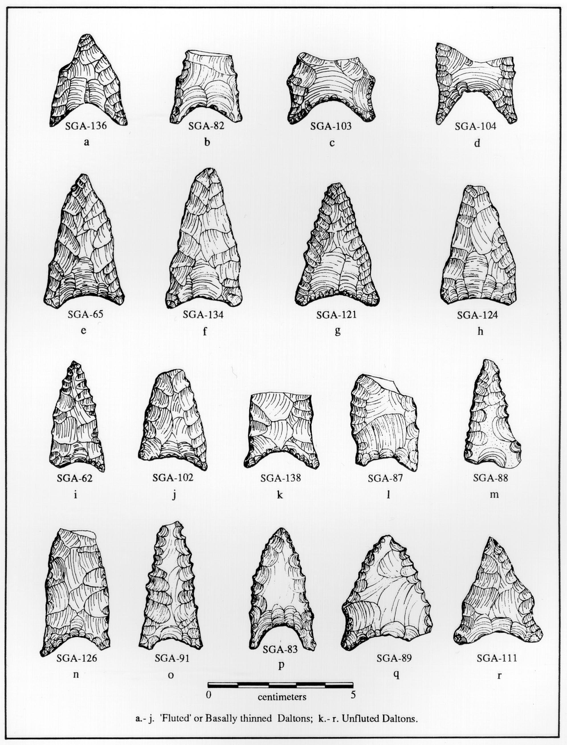 Fluted Dalton Points New Encyclopedia