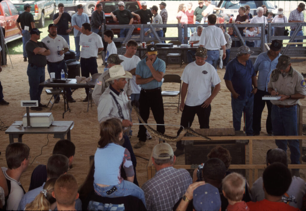 Rattlesnake Roundup