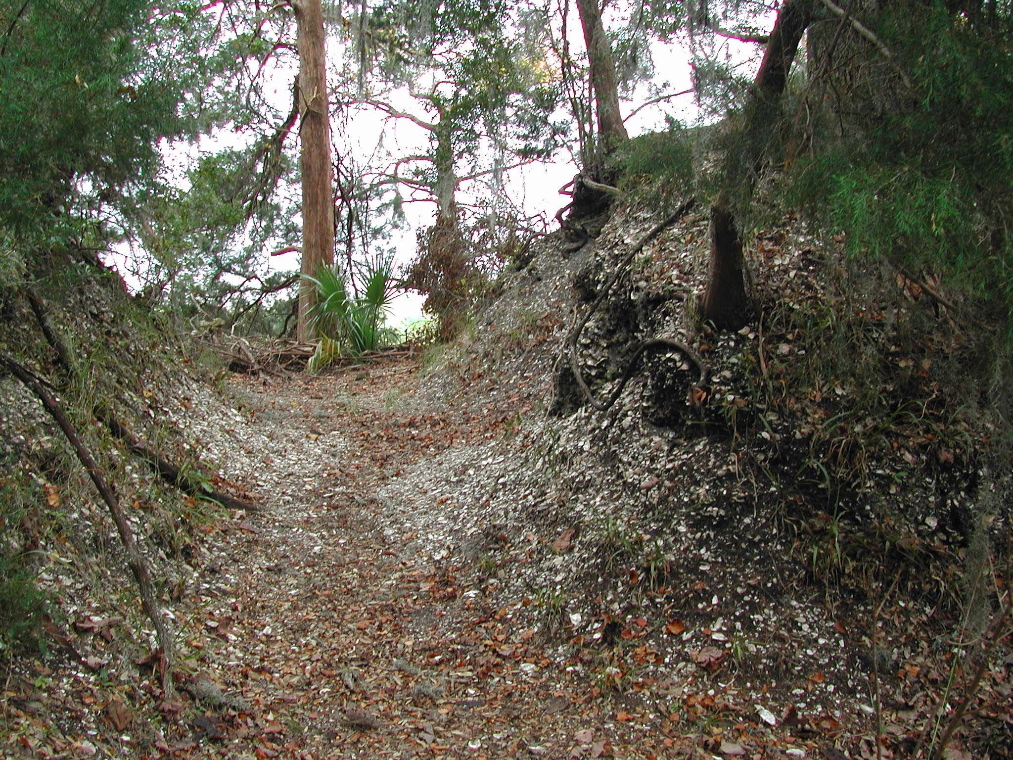 Coastal Shell Rings New Encyclopedia