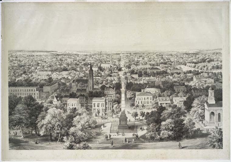 Savannah