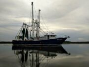 Shrimp Boat