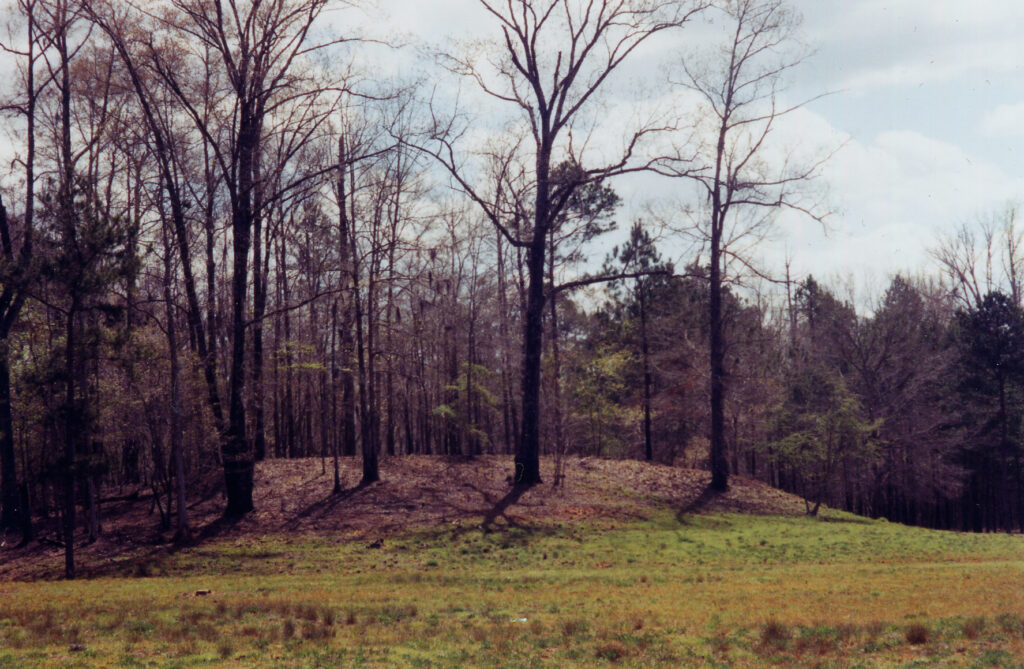 Singer-Moye Mounds
