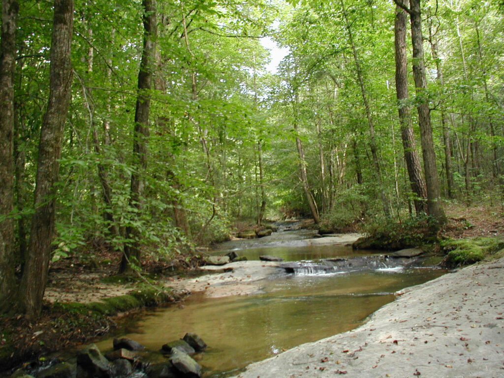 Stream Corridor