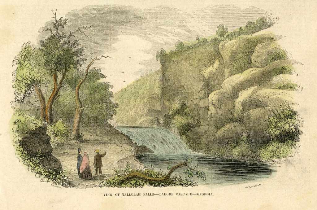 Unveiling The Mystery Which Biomes Thrive In Georgia - ciwnrjd