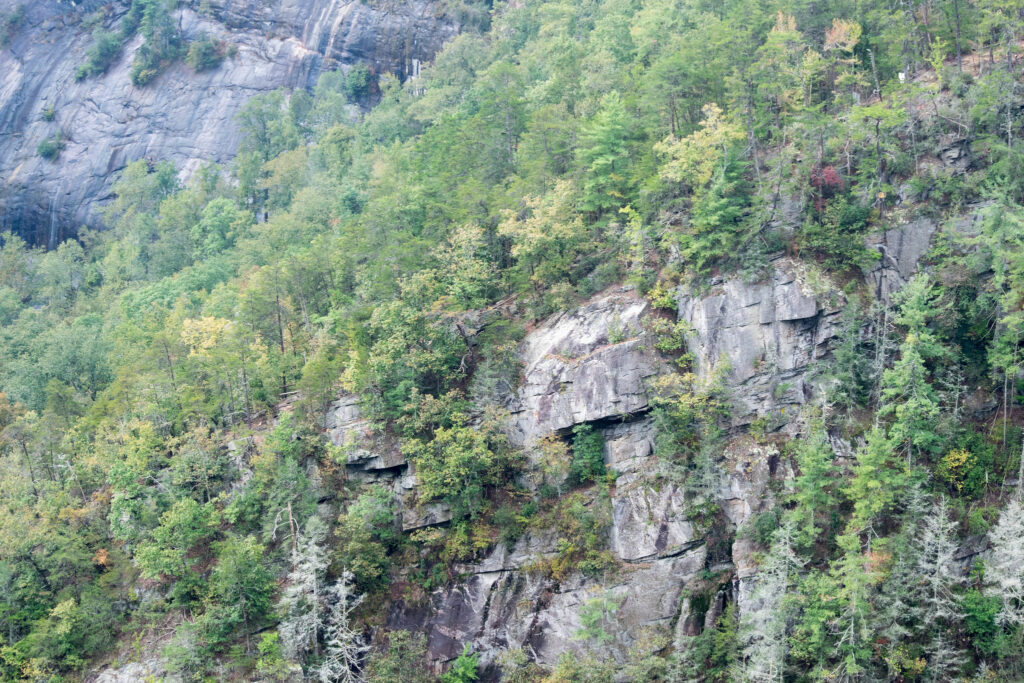 Tallulah Gorge State Park