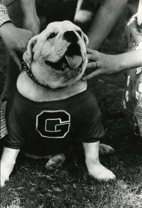 Uga IV