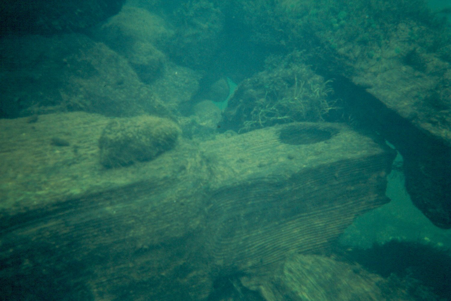 Covered Bridge Remains