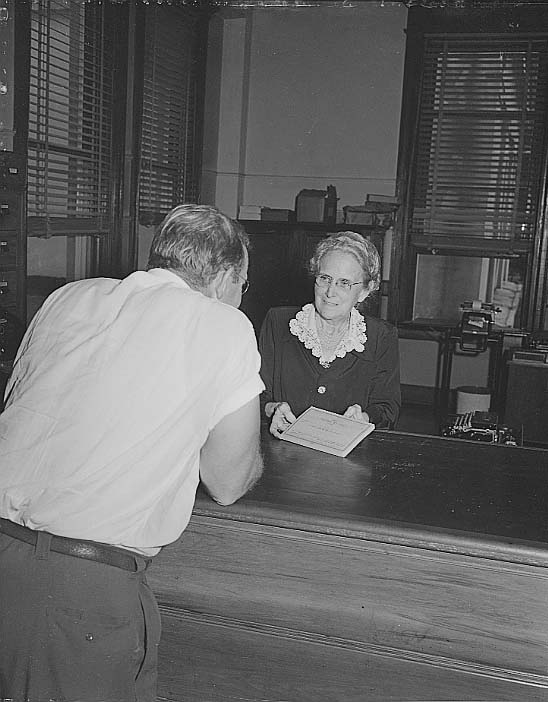 Viola Napier