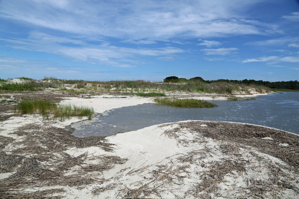 Wassaw Island
