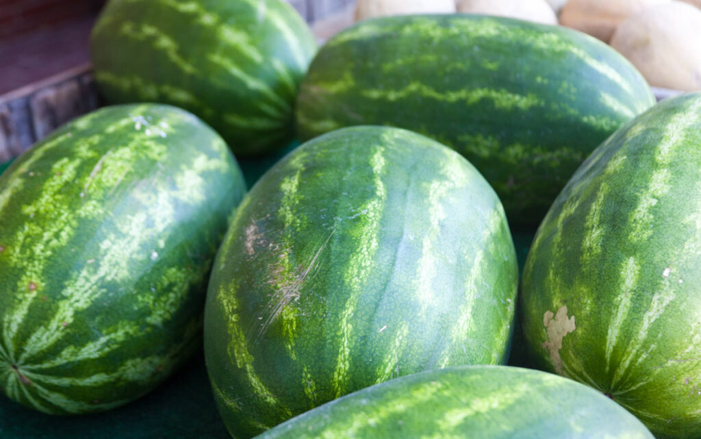Watermelons