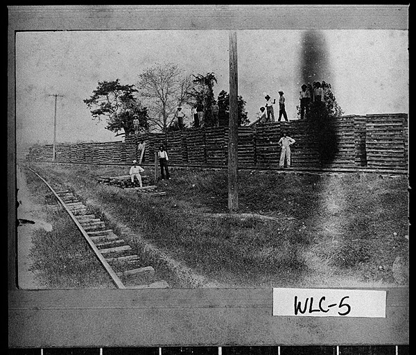 Wilcox County Workers