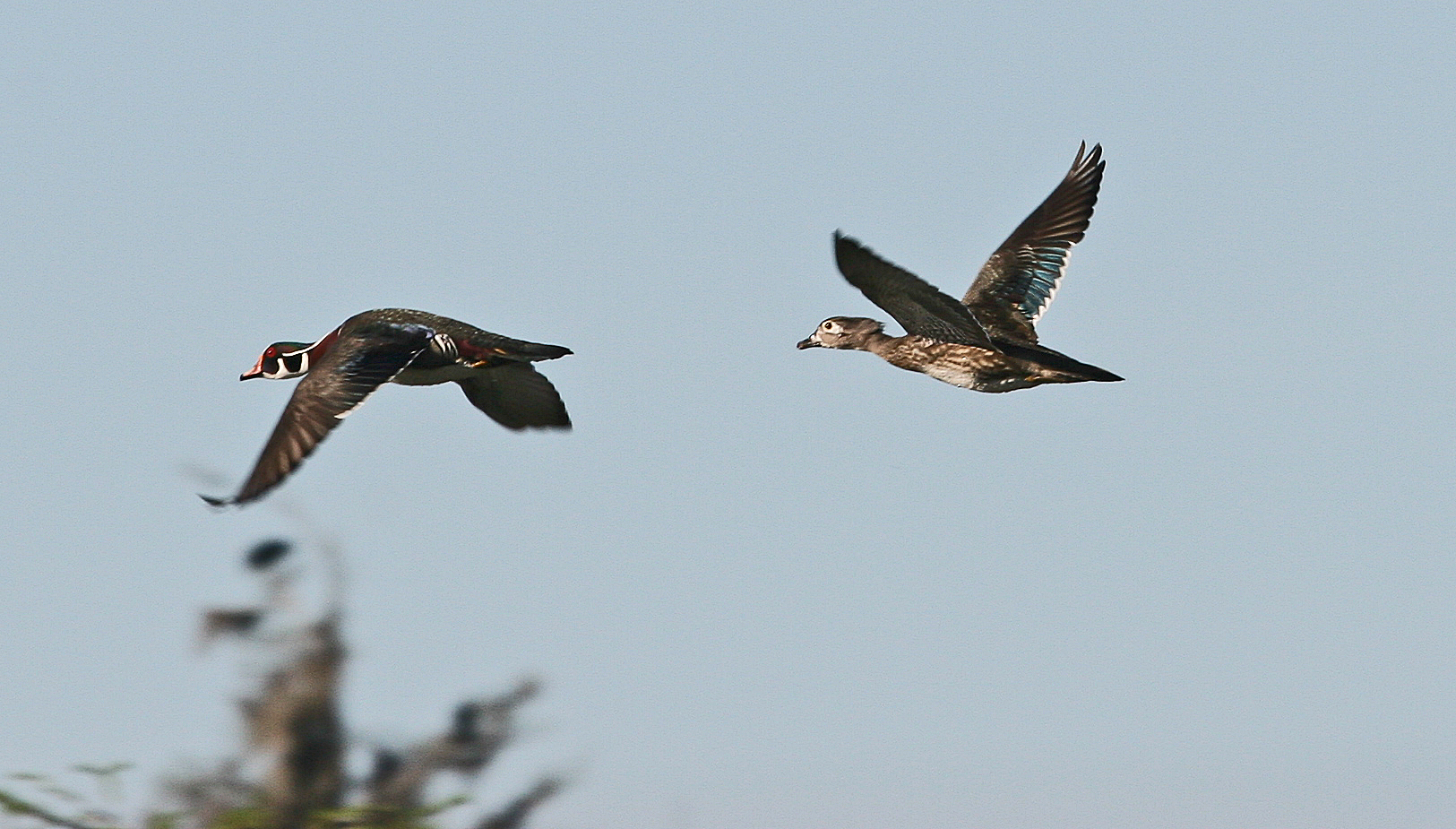 Grand Bay Wetland Education Center