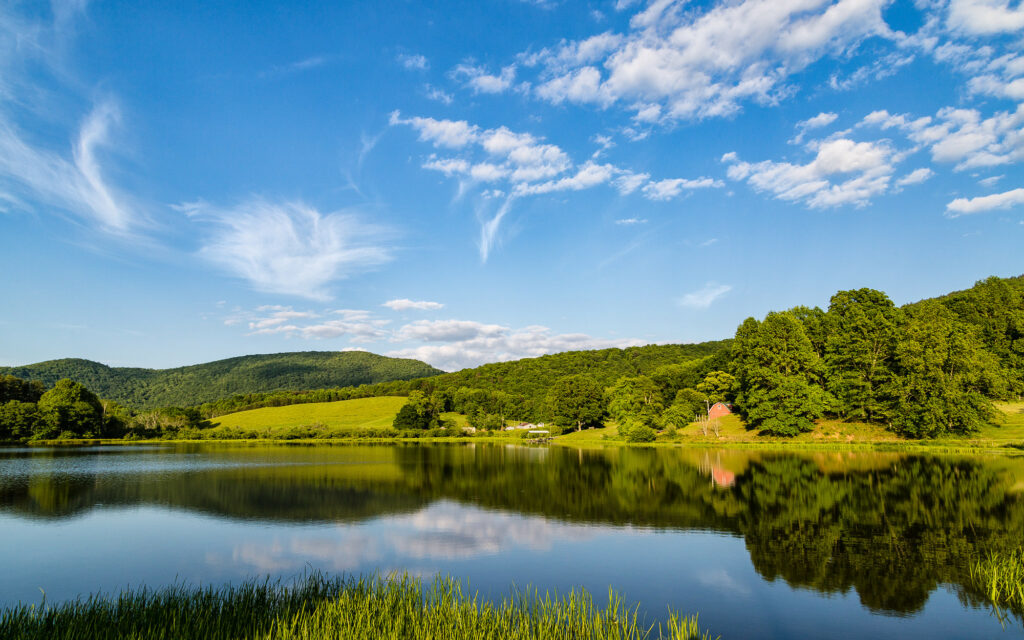 Woody Lake