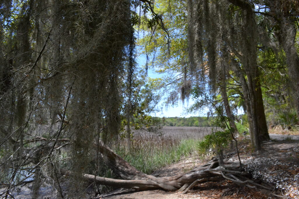 Wormsloe