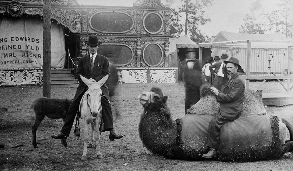 Vintage Circus Animal Images